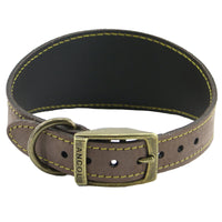 Ancol - Timberwolf Greyhound Collar, 34-43cm