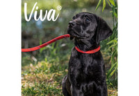 Ancol - Viva Reflective Rope Slip Lead - 1.5mx12mm (max 50kg)