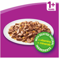 Whiskas - Adult Wet Cat Food Poultry in Jelly 100g pouch - 12 pack