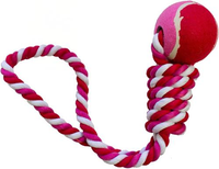 Extra Select - Super Tennis Ball Toy