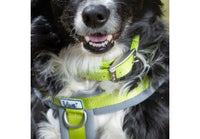 Ancol - Padded Viva Collar