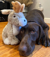 Tall Tails - Twitchy Jackalope Ear Plush Toy