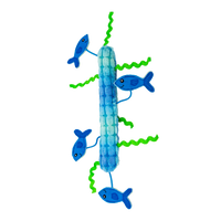 Kong - Kickeroo Stickaroo