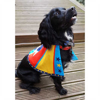 Dog Life - Super Hero Cape & Blaster - M/L