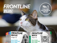 Frontline Plus Spot On XLarge Dog (40-60kg)