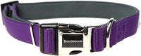 Doodlebone - Padded Collar, Violet