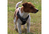 Ancol - Viva Step-in Harness - Red - Medium