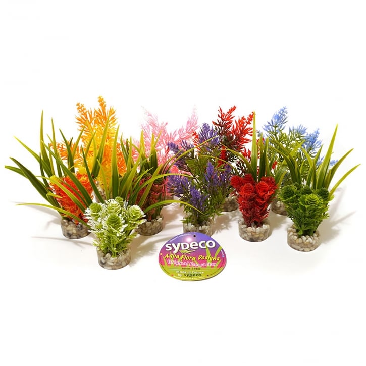 sydeco plastic plant range from rosewood Rosewood