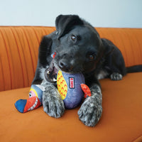 Kong - Ballistic Vibez Birds - Assorted - Med/Lrg