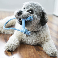 Kong - Puppy Goodie Bone With Rope - XSml