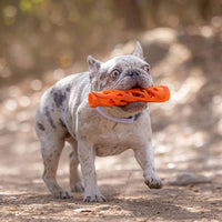 Chuckit - Breathe Right Stick - Large