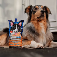 DoggyRade - Isotonic Drink for Pets, Chicken - 250ml