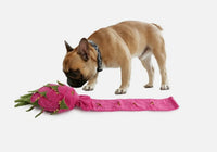 All For Paws - Dig It Dragon Fruit Snuffle Puzzle Toy