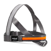 Animal Instincts - Flashing Safety USB Harness - Grey/Orange - Medium (75cm)