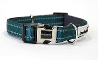 Doodlebone - Padded Collar, Teal