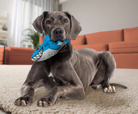 Kong - Maxx Shark - Med