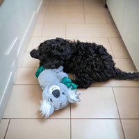 All For Paws - Safari Rope Toy, Cuddle Koala