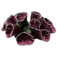 Betta - Purple Trumpet Head Coral