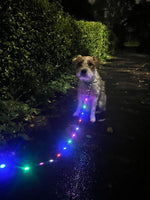 Doodlebone - Light Up LED Lead, Berry