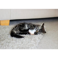 Rosewood - Under The Sea Rainbow Fish Cat Toy