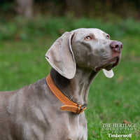 Ancol - Timberwolf Leather Collar, Sable