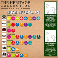 Ancol - Timberwolf Leather Collar, Mustard