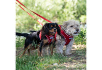 Ancol - Viva Nylon Padded Snap Lead - 1mx12mm (max 20kg)