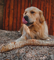 ANCO - Naturals Giant Bully Roll