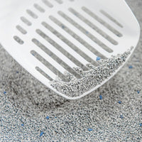 Intersand - Classic Premium Clumping Litter - Baby Powder - 14kg