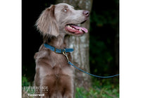 Ancol - Timberwolf Leather Lead - 1mx19mm (max 50kg)