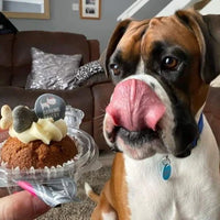 Barking Bakery - Carob Woofin Iced - Vanilla