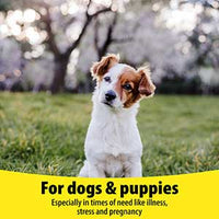 Bob Martin - Vetzyme Conditioning Supplements for Dogs - 240 Tablets