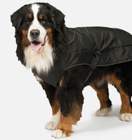Danish Design - 2 in 1 Harness Dog Coat - Black - 30cm (12`)