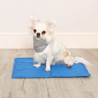 Pet Brands - Cooler Pet Cooling Mat - Small (40 X 50cm)