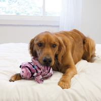 KONG - Low Stuff Stripes Pig - Med