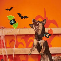 BARK - Halloween Flutter & Fang Dog Toy
