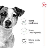 Royal Canin - Mini Adult Dog Kibble