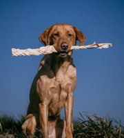 Anco - Naturals Mega Goat Braid - 50cm