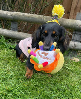 House Of Paws - Birthday Cake Dog Toy - Large