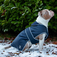 Ancol - Stormguard Dog Coat, Navy