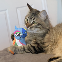 KONG - Artz Kahlo Picasso Cat Toy - 2pk