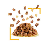 Royal Canin - Sensory Taste Chunks In Jelly 85g Pouch - 12 Pack