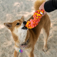 Kong - Rope Bunji - Assorted - Lrg