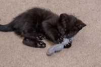 Ministry Of Pets - Catnip Moustache Toy 2pk