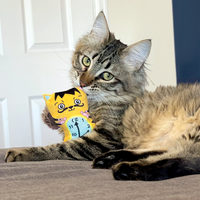 KONG - Cat Artz Dali Van Gogh 2pk