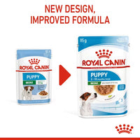 Royal Canin - Mini Puppy Dog Pouch In Gravy, 85g