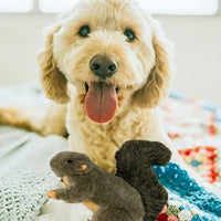 All For Paws - Squirrel with Squeaker Dog Toy - 18cm