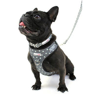 #Doodlebone - Adjustable Airmesh Harness, grey stars - Size 1-2