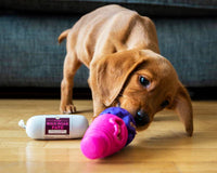 JR Pet Products - Wild Boar Pate - 80g