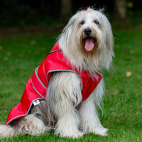Ancol - Stormguard Dog Coat, Red
